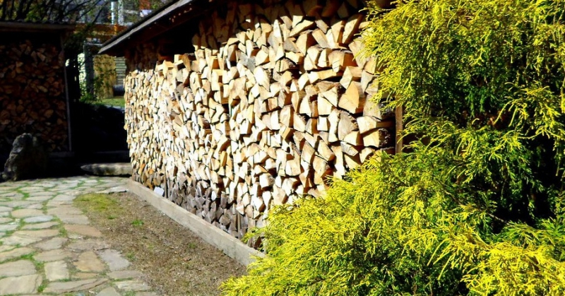 дрова для мангала.jpg